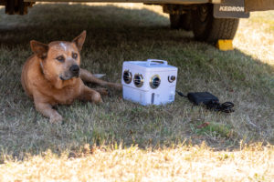 Dog being cooled with a white Transcool E3